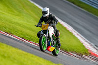 PJ-Motorsport-2019;anglesey;brands-hatch;cadwell-park;croft;donington-park;enduro-digital-images;event-digital-images;eventdigitalimages;mallory;no-limits;oulton-park;peter-wileman-photography;racing-digital-images;silverstone;snetterton;trackday-digital-images;trackday-photos;vmcc-banbury-run;welsh-2-day-enduro